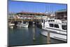 Commercial Fishing Boats at Fisherman's Wharf-Richard Cummins-Mounted Photographic Print