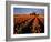 Commercial Tulip Field in the Skagit Valley, Washington, USA-Chuck Haney-Framed Photographic Print