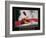 Commitment - Kayak-Unknown Unknown-Framed Photo