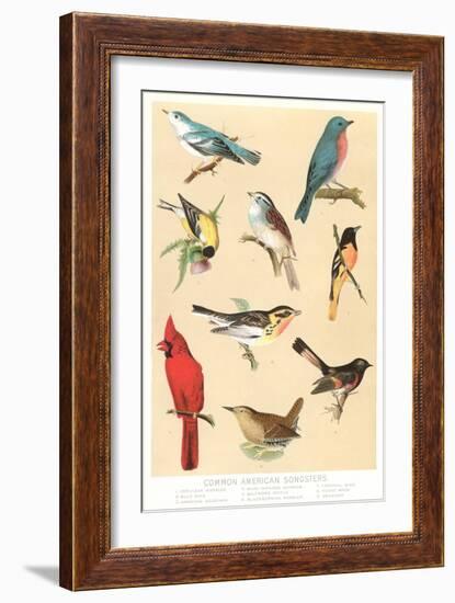 Common American Songbirds-null-Framed Art Print