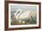 Common American Swan-John James Audubon-Framed Giclee Print