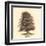 Common Beech-Samuel Williams-Framed Art Print