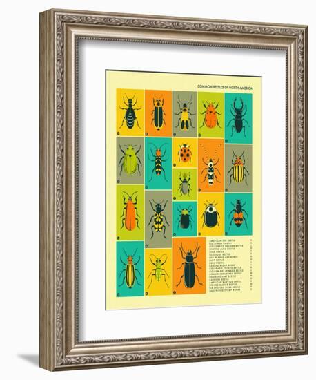 Common Beetles of North America-Jazzberry Blue-Framed Premium Giclee Print