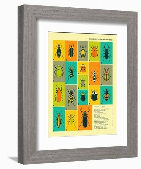 Common Beetles of North America-Jazzberry Blue-Framed Premium Giclee Print