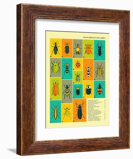 Common Beetles of North America-Jazzberry Blue-Framed Premium Giclee Print