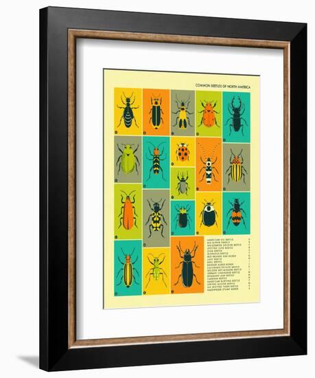 Common Beetles of North America-Jazzberry Blue-Framed Premium Giclee Print