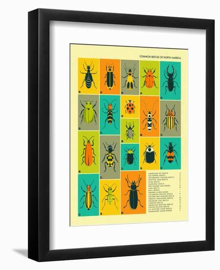 Common Beetles of North America-Jazzberry Blue-Framed Premium Giclee Print