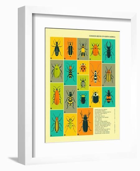 Common Beetles of North America-Jazzberry Blue-Framed Premium Giclee Print