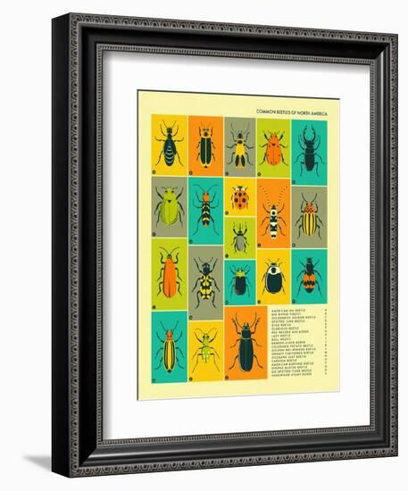 Common Beetles of North America-Jazzberry Blue-Framed Premium Giclee Print