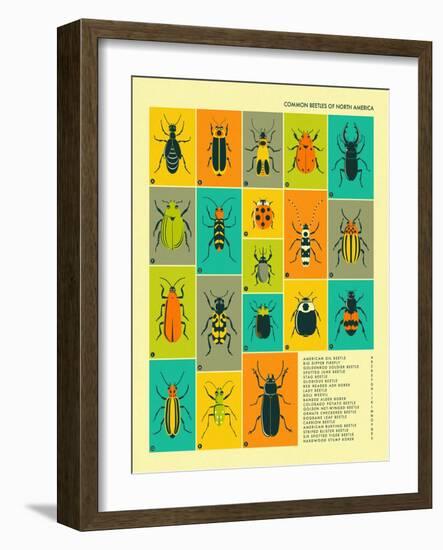 Common Beetles of North America-Jazzberry Blue-Framed Art Print