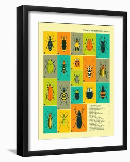 Common Beetles of North America-Jazzberry Blue-Framed Art Print