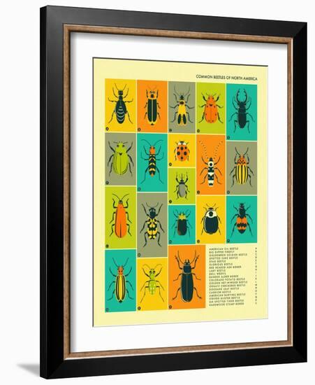 Common Beetles of North America-Jazzberry Blue-Framed Art Print