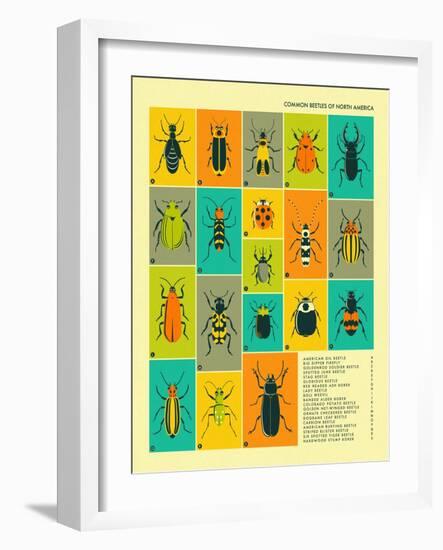 Common Beetles of North America-Jazzberry Blue-Framed Art Print