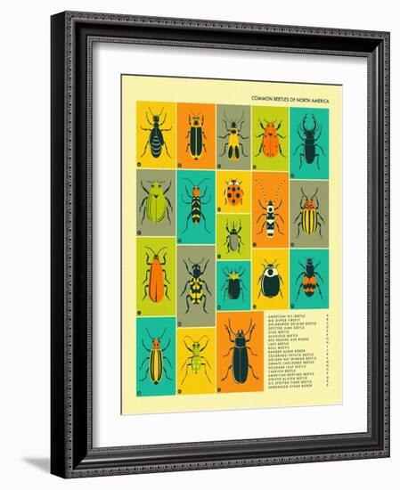 Common Beetles of North America-Jazzberry Blue-Framed Art Print