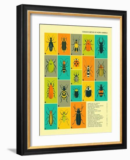 Common Beetles of North America-Jazzberry Blue-Framed Art Print