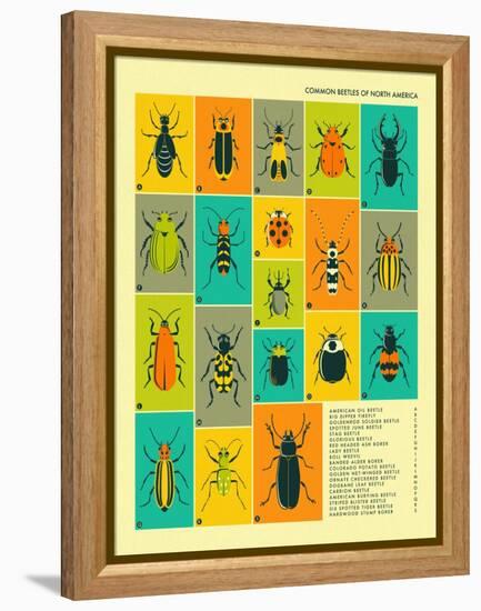 Common Beetles of North America-Jazzberry Blue-Framed Stretched Canvas