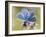 Common Blue Male Feeding on Flower of Marjoram-Andy Sands-Framed Photographic Print