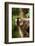 Common Brown Lemur, Madagascar-Paul Souders-Framed Photographic Print