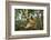 Common Brown Lemur, Madagascar-Paul Souders-Framed Photographic Print