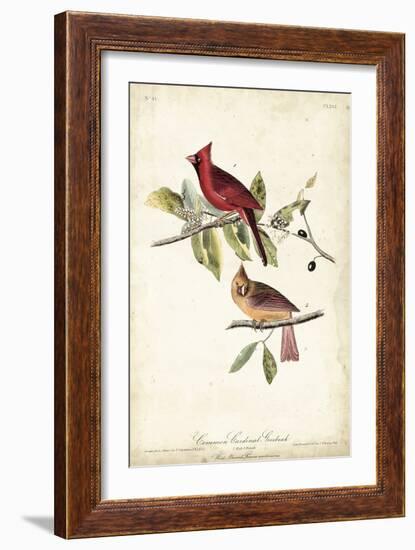 Common Cardinal Grosbeak-John James Audubon-Framed Art Print