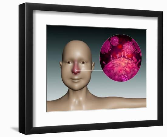 Art Print, , large