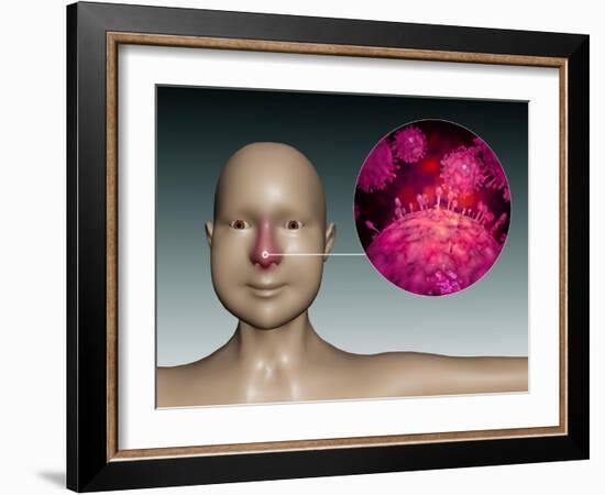 Common Cold Influenza Virus with Microscopic Close-Up-null-Framed Art Print