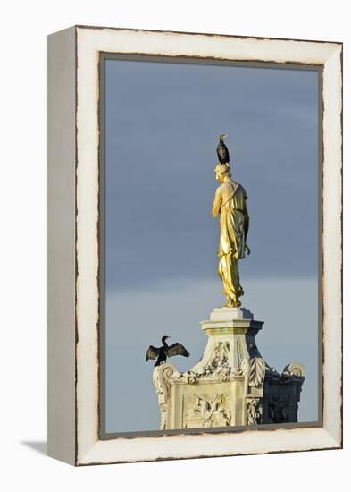 Common Comorants Perched on Statue Drying Out, Bushy Park, London, England, UK, November-Terry Whittaker-Framed Premier Image Canvas