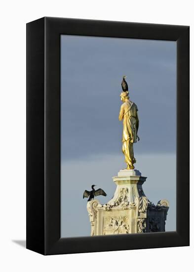 Common Comorants Perched on Statue Drying Out, Bushy Park, London, England, UK, November-Terry Whittaker-Framed Premier Image Canvas