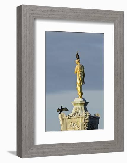 Common Comorants Perched on Statue Drying Out, Bushy Park, London, England, UK, November-Terry Whittaker-Framed Photographic Print