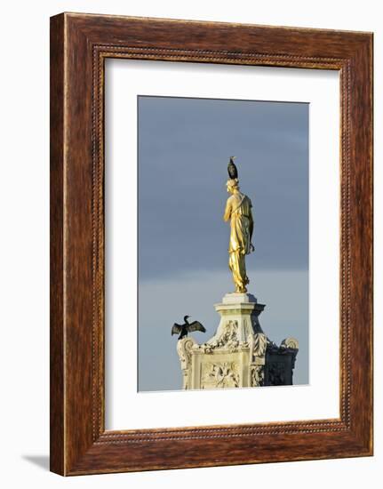 Common Comorants Perched on Statue Drying Out, Bushy Park, London, England, UK, November-Terry Whittaker-Framed Photographic Print