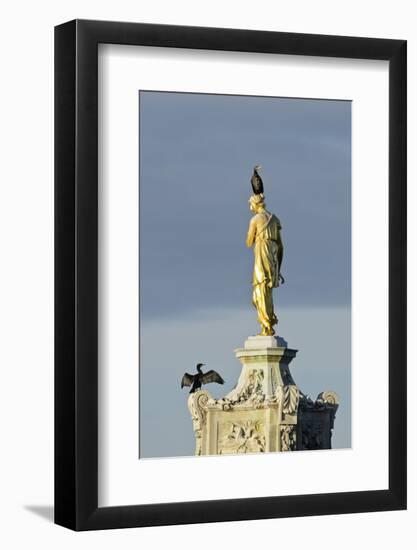 Common Comorants Perched on Statue Drying Out, Bushy Park, London, England, UK, November-Terry Whittaker-Framed Photographic Print