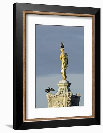 Common Comorants Perched on Statue Drying Out, Bushy Park, London, England, UK, November-Terry Whittaker-Framed Photographic Print