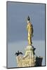 Common Comorants Perched on Statue Drying Out, Bushy Park, London, England, UK, November-Terry Whittaker-Mounted Photographic Print