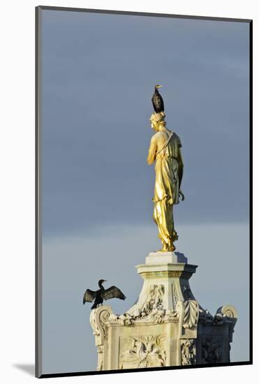 Common Comorants Perched on Statue Drying Out, Bushy Park, London, England, UK, November-Terry Whittaker-Mounted Photographic Print