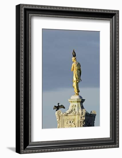 Common Comorants Perched on Statue Drying Out, Bushy Park, London, England, UK, November-Terry Whittaker-Framed Photographic Print