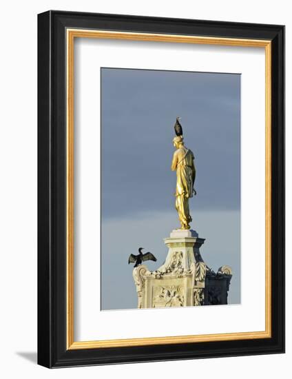 Common Comorants Perched on Statue Drying Out, Bushy Park, London, England, UK, November-Terry Whittaker-Framed Photographic Print