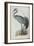 Common Crane, from 'The Birds of Europe' by John Gould, 1837 (Colour Litho)-Edward Lear-Framed Giclee Print