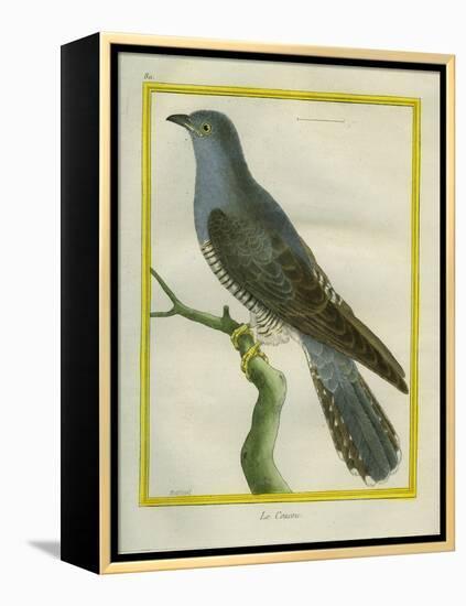 Common Cuckoo-Georges-Louis Buffon-Framed Premier Image Canvas