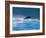 Common Dolphin Breaching in the Sea-null-Framed Photographic Print