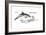 Common Dolphin (Delphinus Delphis), Mammals-Encyclopaedia Britannica-Framed Art Print
