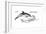 Common Dolphin (Delphinus Delphis), Mammals-Encyclopaedia Britannica-Framed Art Print