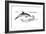 Common Dolphin (Delphinus Delphis), Mammals-Encyclopaedia Britannica-Framed Art Print