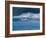 Common Dolphins Breaching in the Sea-null-Framed Photographic Print