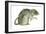 Common Domestic Rat (Rattus Norvegicus), Mammals-Encyclopaedia Britannica-Framed Art Print