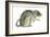 Common Domestic Rat (Rattus Norvegicus), Mammals-Encyclopaedia Britannica-Framed Art Print