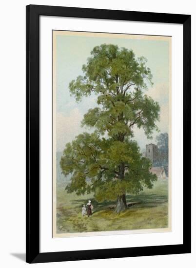 Art Print, , large