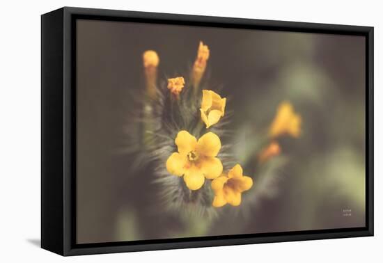 Common Fiddleneck II-Nathan Larson-Framed Premier Image Canvas