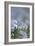 Common Flax (Linum Usitatissimum)-Adrian Bicker-Framed Photographic Print