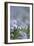 Common Flax (Linum Usitatissimum)-Adrian Bicker-Framed Photographic Print