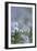Common Flax (Linum Usitatissimum)-Adrian Bicker-Framed Photographic Print